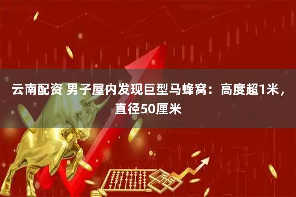 云南配资 男子屋内发现巨型马蜂窝：高度超1米，直径50厘米
