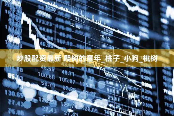 炒股配资最新 爬树的童年_桃子_小狗_桃树