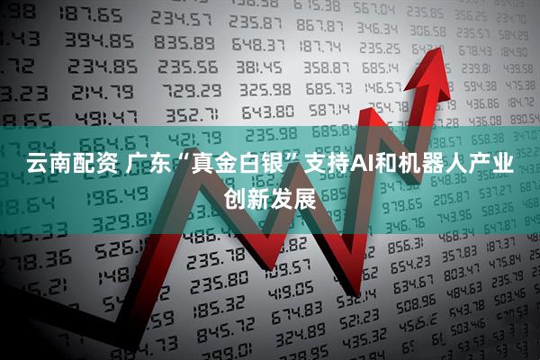 云南配资 广东“真金白银”支持AI和机器人产业创新发展