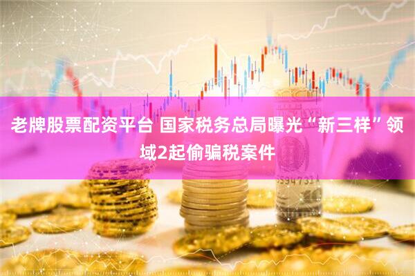 老牌股票配资平台 国家税务总局曝光“新三样”领域2起偷骗税案件